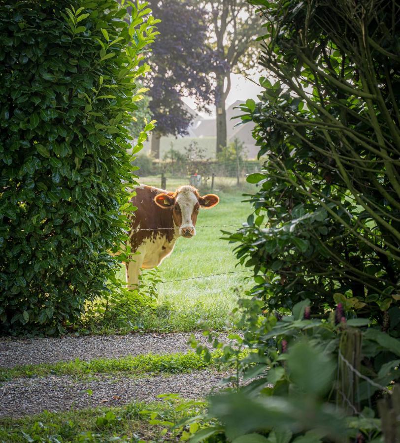 Sallandelijk Bakhuis Olst Bagian luar foto